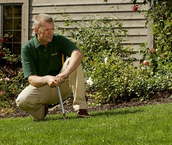 Weed Man's Soil Revitalizer service